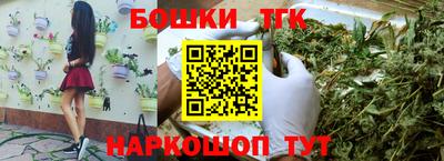 a pvp Камышлов