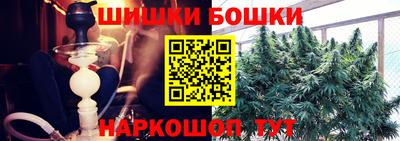 СК Канаш
