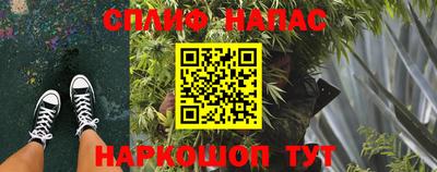 СК Канаш