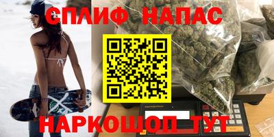 a pvp Камышлов