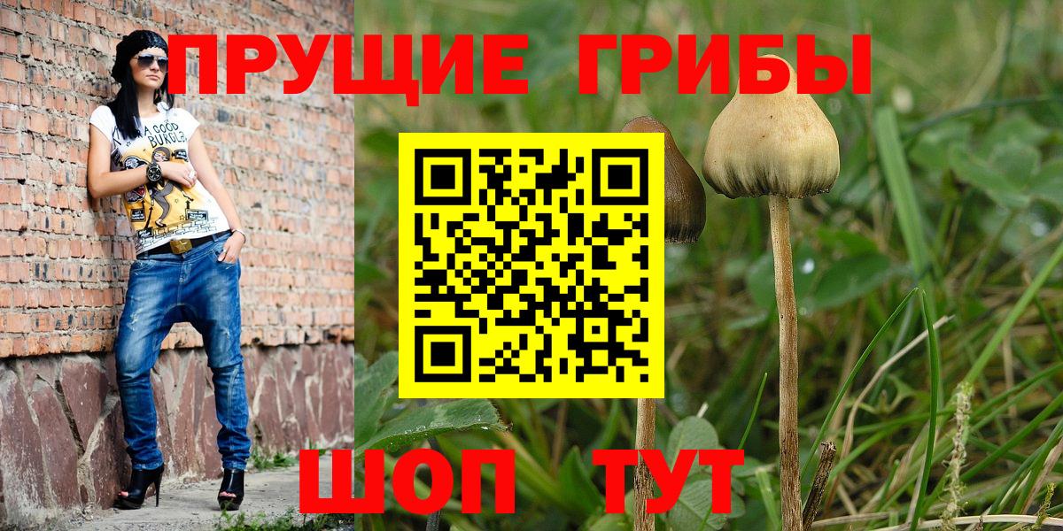 Галлюциногенные грибы GOLDEN TEACHER  Вход с VPN  Курчатов  Псилоцибиновые грибы Psilocybine cubensis 