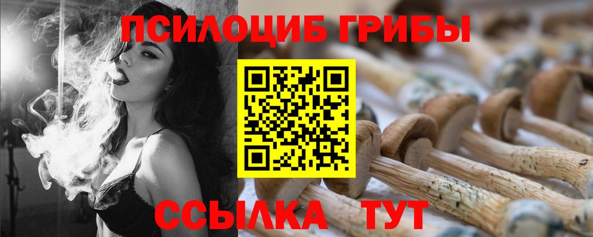 Псилоцибиновые грибы мухоморы Курчатов